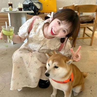 顽皮豹在树林里